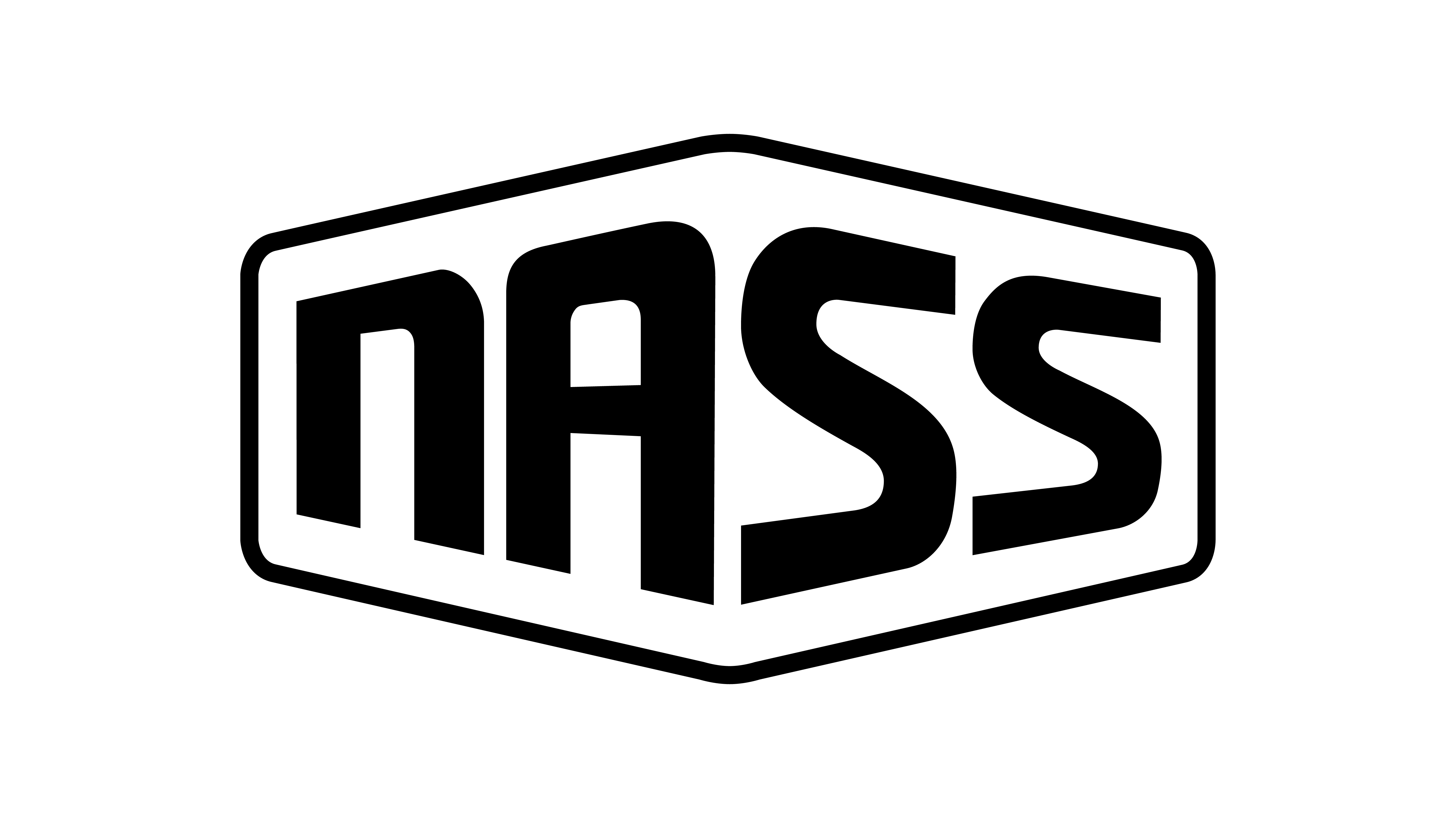 NASS ANNOUNCES SECOND DROP OF ARTISTS FOR 2021